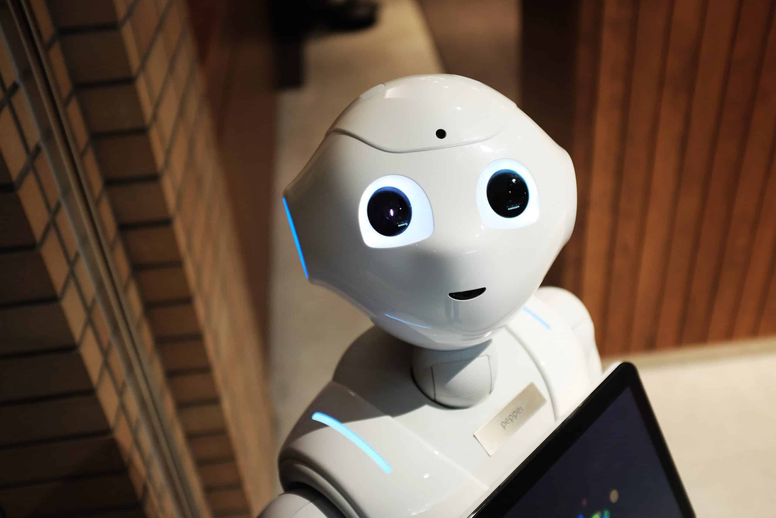 Robots et sécurité privée : être ou être