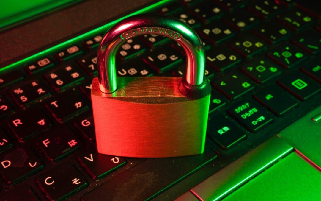 Cybersécurité : comment les données personnelles sont devenues en enjeu de sécurité publique ?